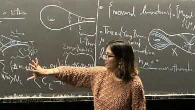 تینا ترکمان به‌عنوان پنجمین ایرانی، از دانشگاه هاروارد دکترای ریاضی گرفت+ بیوگرافی