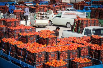 کاهش نسبی قیمت میوه و صیفی‌جات در بازار - بررسی جدیدترین تغییرات قیمت