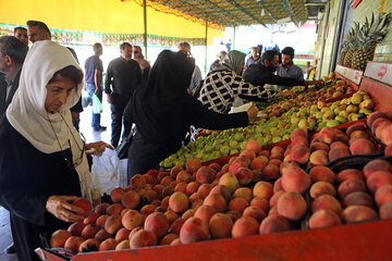 کاهش نسبی قیمت میوه/ جدیدترین قیمت زردآلو، گیلاس، طالبی، موز ، توت فرنگی و هندوانه را ببینید