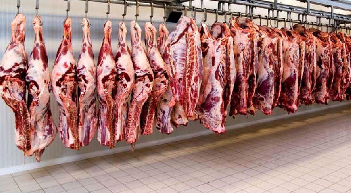 فروش گوشت بز به نام گوشت قرمز ارزان! / تهدید معیشت 5 میلیون ایرانی