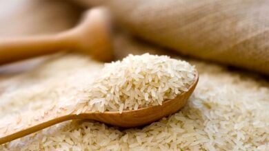 واردات برنج خارجی آغاز شد