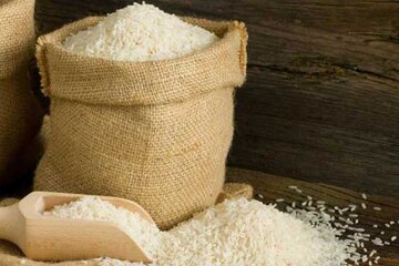 گران‌ترین برنج ایرانی ۳ میلیون و ۶۰۰ هزار تومان شد!/ جدول قیمت