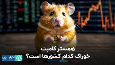 الگوی تکراری، این بار همستر کمبت