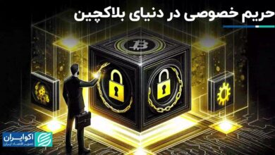 امنیت و حریم خصوصی در دنیای بلاک چین