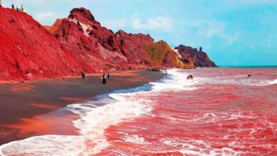 پس از حادثه «هرمز»
